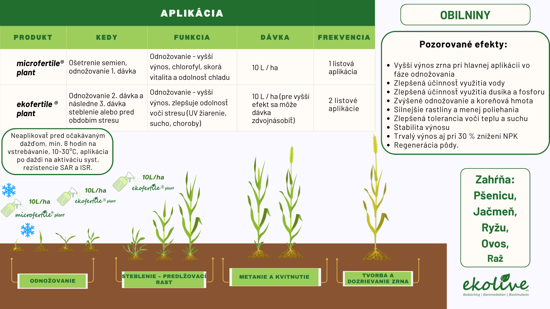 Pôdny stimulátor a prírodné hnojivo ekofertile®plant a  microfertile® plant na obilniny